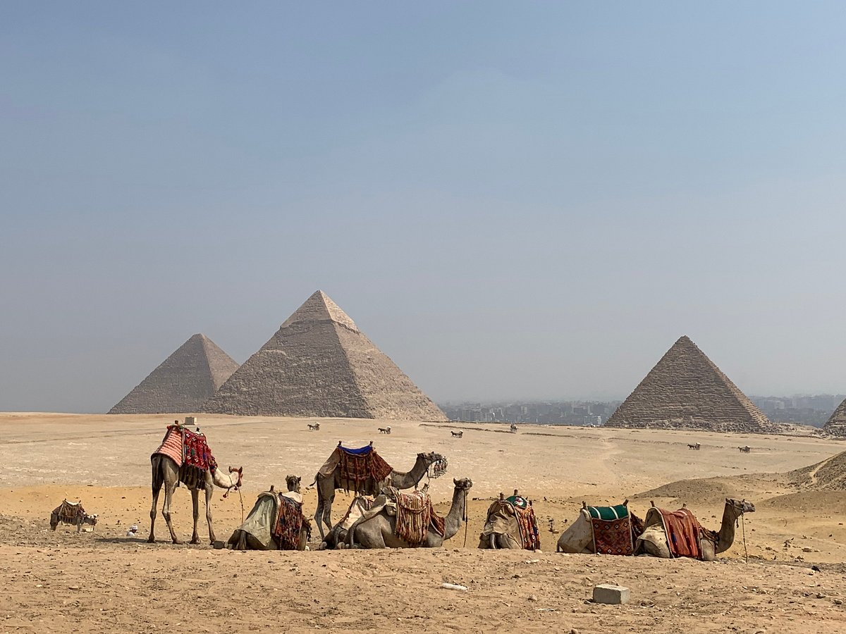 Cairo Day tours& excursion