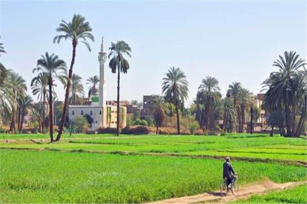 Egyptian Farm Experience Day Tour | Authentic Rural Life & Traditional Food in Egypt