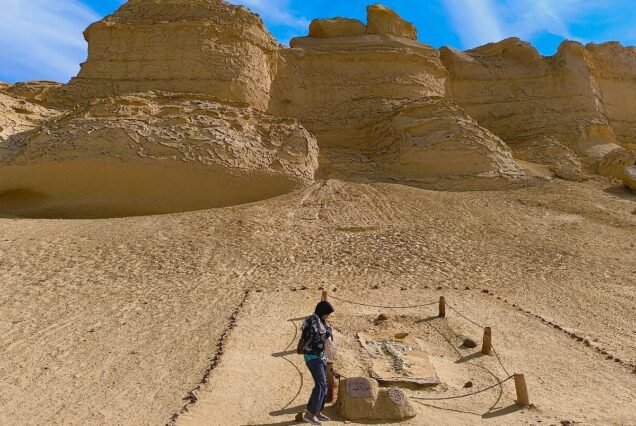 Discover Western Desert Tour 3 Days – White Desert & Bahariya Oasis Adventure